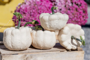 Sterling Silver F1 Pumpkin