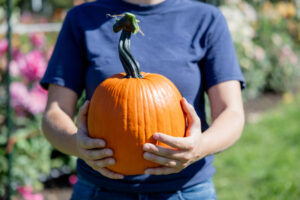 Trophy F1 Pumpkin