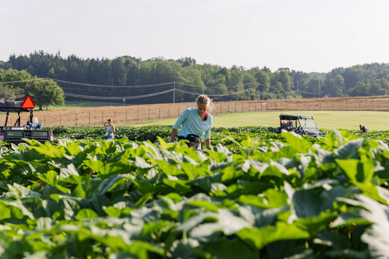 field-image-wo-hwy-vehicles_1100-2_10-4-2025-web Outstanding Seed Company LLC